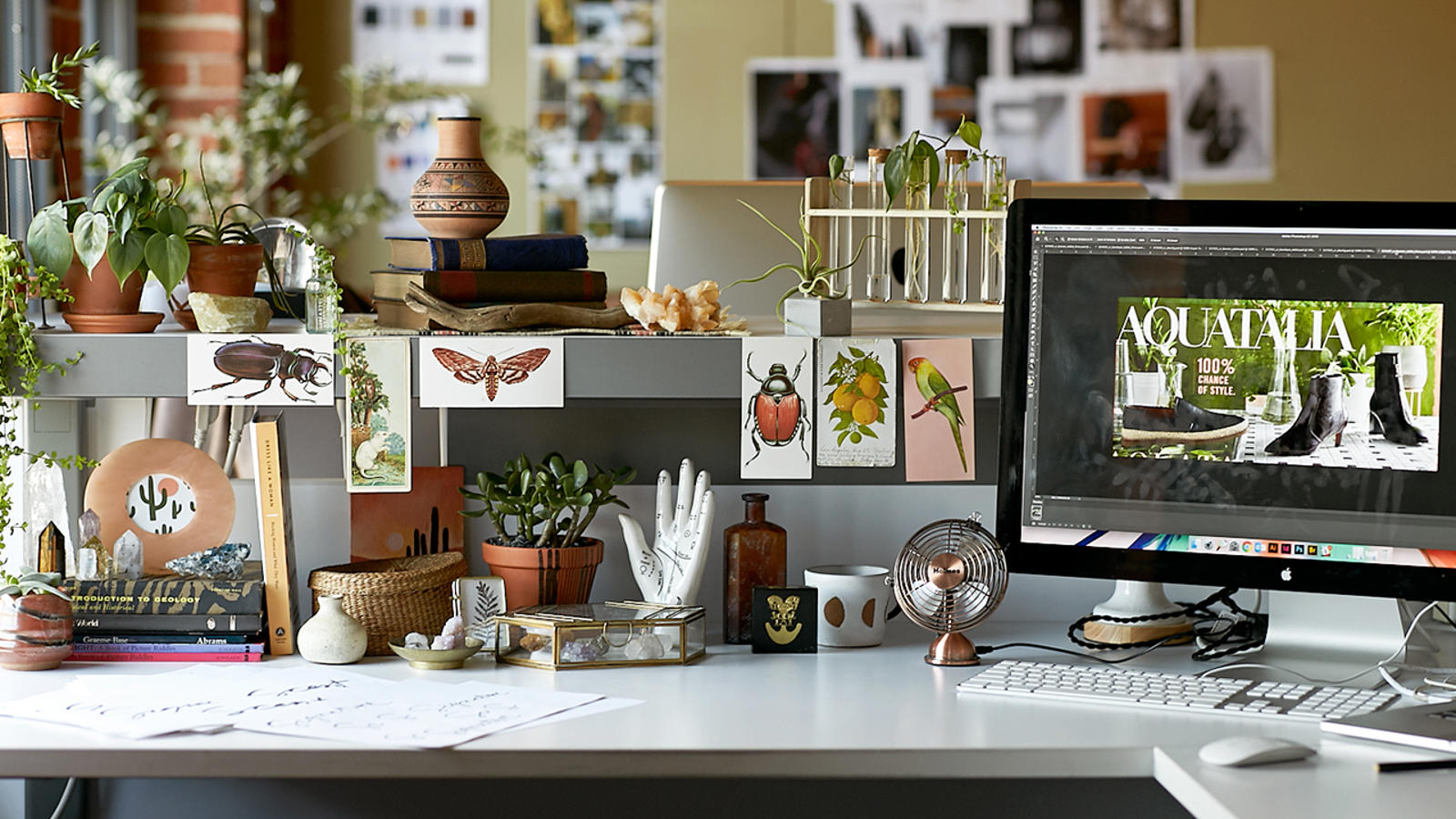 a desk with a computer and a plant on it